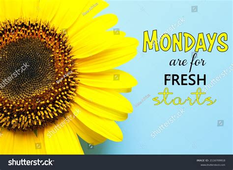 Motivational Quote Mondays Fresh Starts Beautiful Stock Photo