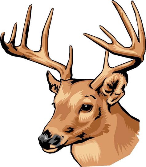 Deer Head Art Clipart Best