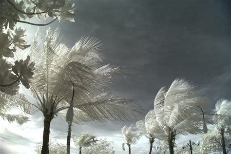 Waste Management Provides Hurricane Season Prep Tips - Waste Advantage