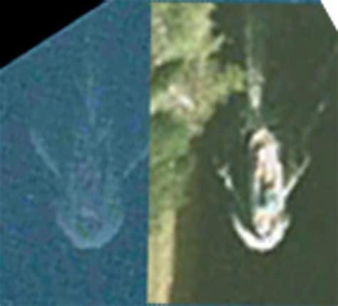 103,797 likes · 431 talking about this. Debunked: Photo of "Nessie" in Apple Maps Satellite image ...