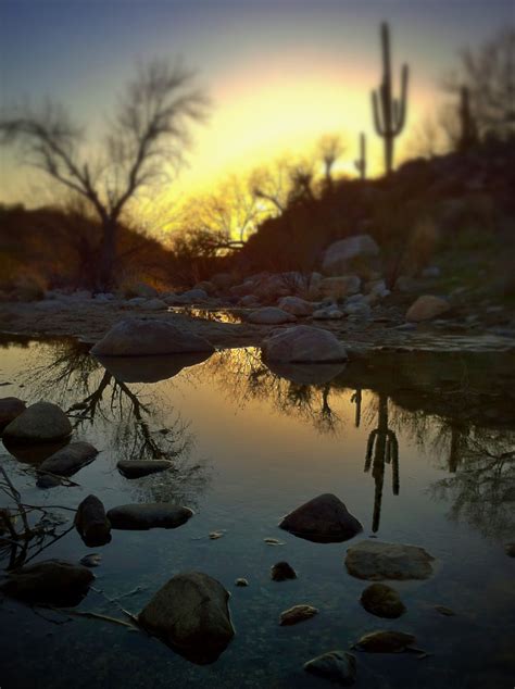 AFAR.com Highlight: saguaro silhouette at sunset by Joseph Cyr | State parks, Arizona, Tucson ...