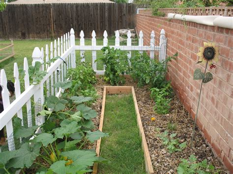 Not everyone has the room for a backyard garden. Arizonans Look to Save on Their Food Budget by Starting ...