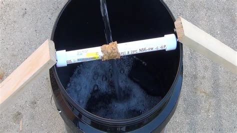 Always opt for humane mouse traps, such as live traps. Worlds Best Mouse Trap DIY $5 - YouTube