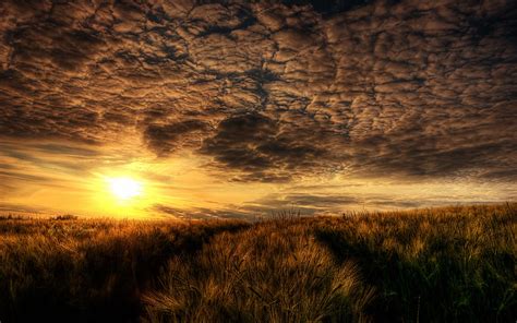 Sunset Field With Dry Grass Sunlight Sky With Dark Clouds
