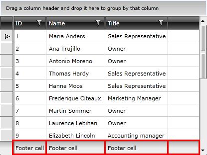 Wpf Datagrid Column Footers Telerik Ui For Wpf