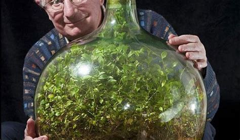 This Terrarium Plant Has Survived 50 Years Without Water