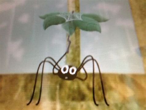 Save The Itsy Bitsy Spider Wonder Pets Wiki