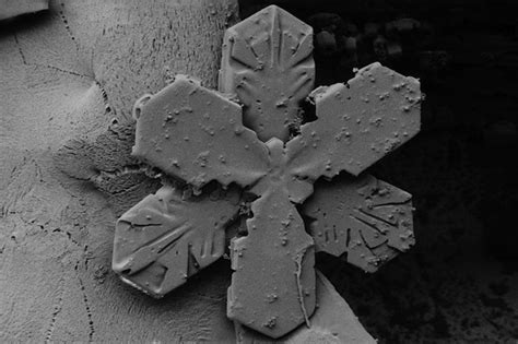Snowflake Images Under An Electron Microscope
