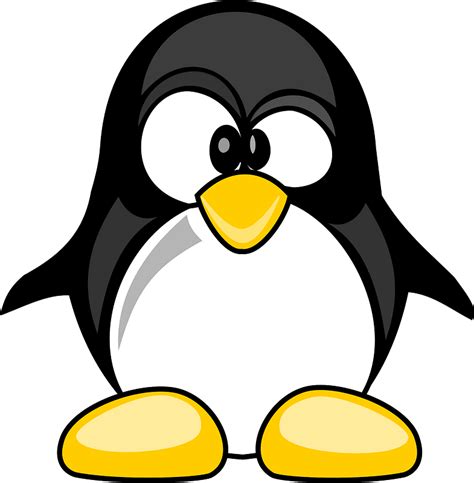 Funny Penguin Clipart Free Download Transparent Png