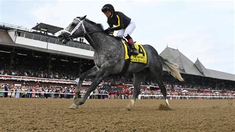 Getting To Know Breeders Cup Classic Contender Knicks Go Americas