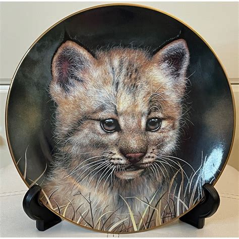 princeton gallery cub of the big cats lynx 8in collectors etsy