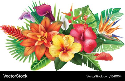 Arrangement From Tropical Flowers Royalty Free Vector Image