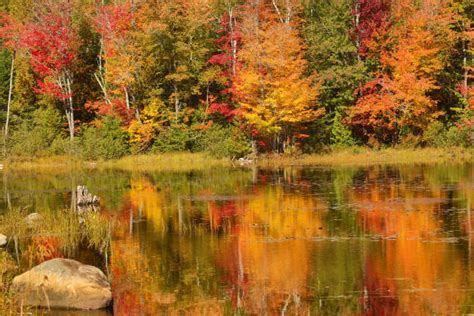 20 Autumn In Great North Woods New Hampshire Stock Photos Pictures