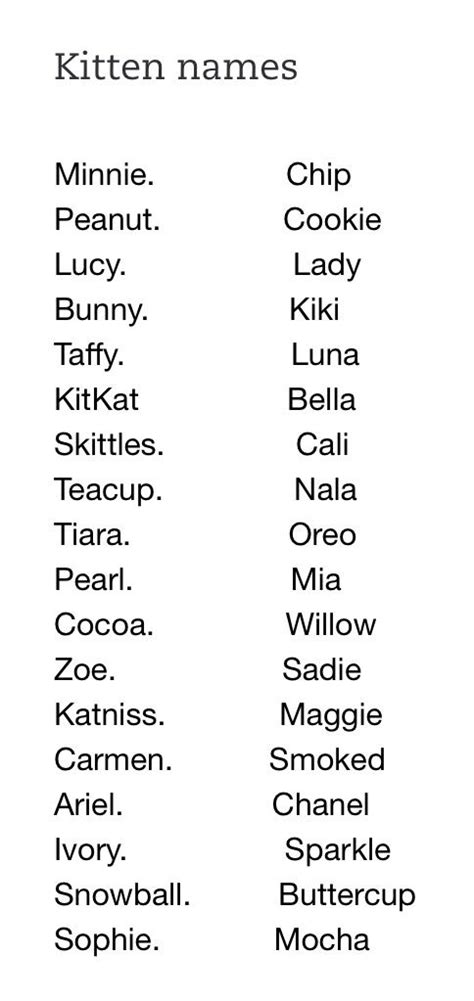 Maybe your cat just has a funny personality. Pin by Chloe Foist on Kittens | Kitten names, Girl pet ...
