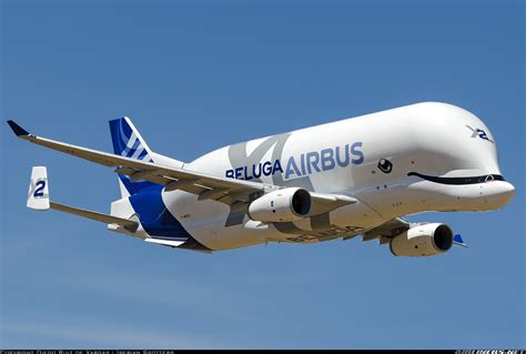 Airbus Transport International A330 700l Beluga Xl Lh4air147 Jc Wings 1