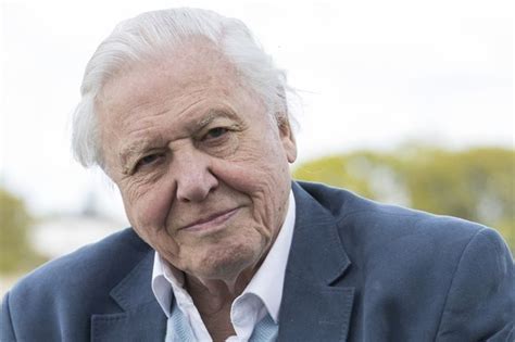 Sir david attenborough has warned of the crippling problems the world faces because of climate change, after being given a role at the cop26 summit later this year. David Attenborough is the celebrity Brits reveal they ...