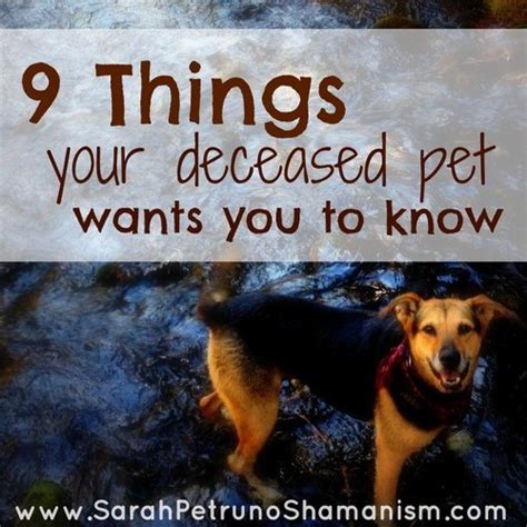 3dogart Blog 9 Things Your Deceased Pet Wants You To Know