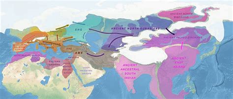 East Eurasian A Term Used In Population Genomics To Refer To East