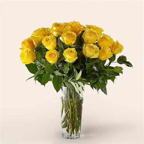 Classic 24 Yellow Roses Bouquet Flowers Delivery 4 U Southall