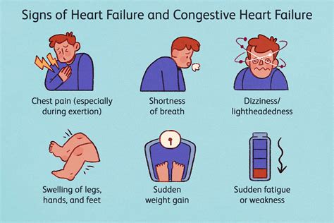 Congestive Heart Failure Vs Heart Failure Symptoms Prevention