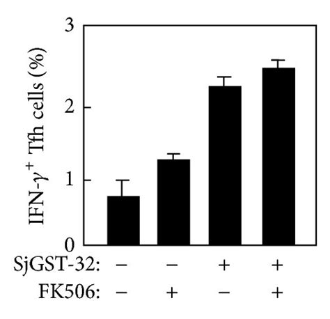 The Induction Of Tfh Cells In Mice Immunized With Sjgst 32fk506