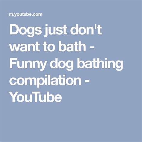 Dogs Just Dont Want To Bath Funny Dog Bathing Compilation Youtube