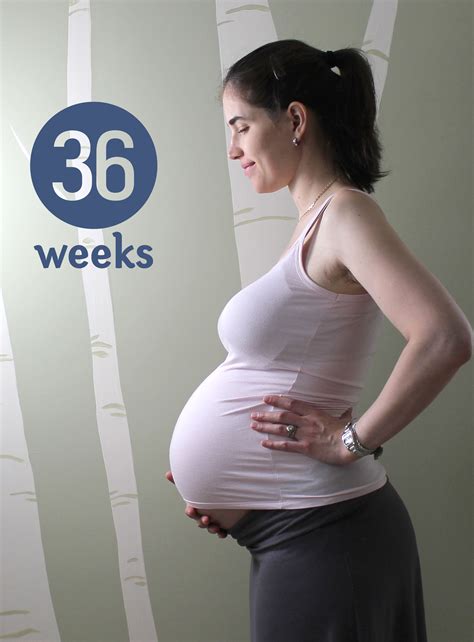 36 Weeks Pregnant With A Boy The Image Kid Has It