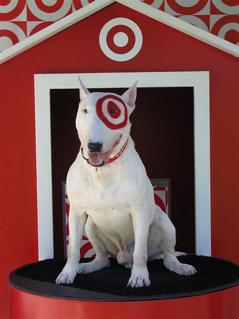 Logo Target Bullseye Dog Brandchannel Target Prepares For Canadian
