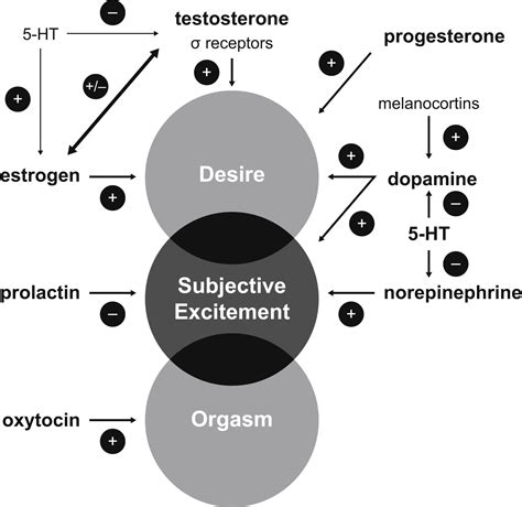 Understanding The Role Of Serotonin In Female Hypoactive Sexual Desire