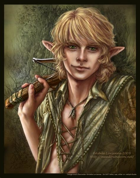 Adele Lorienne Jason Character Portraits Elf Drawings Male Fairy