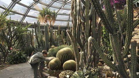 See more of botanischer garten und botanisches museum berlin on facebook. Botanischer Garten / Berlin - B.Z. Berlin