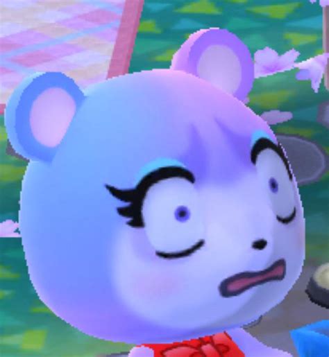 Judys Face When Shes Surprised Issomething Racpocketcamp