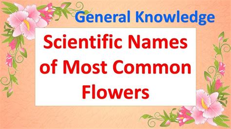 Scientific Names Of Most Common Flowers Youtube