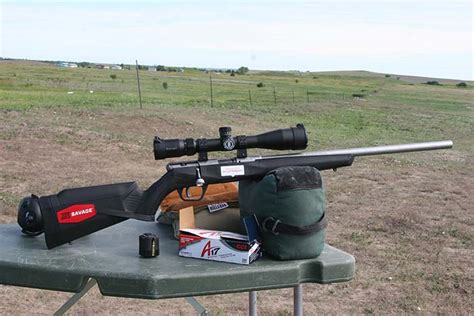 Top 7 Best Scopes For 17 Hmr Reviews And Guides Ellett Brothers