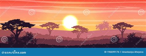 African Savannah At Sunset Acacia Trees Grass Sky Sun And Clouds