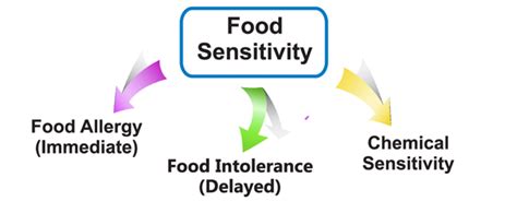 The term food hypersensitivity refers to both food allergies and food intolerances ().a food intolerance is not the same as a food allergy, although some of the symptoms may be similar. Food Sensitivity Blood Test | Cincinnati Fit Body ...