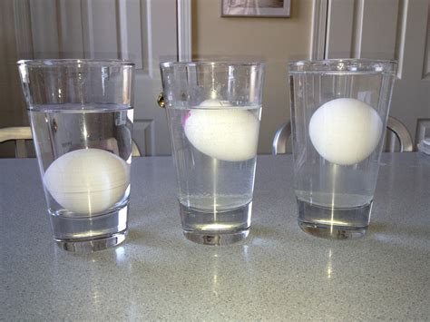 Science Experiments Floating Eggs