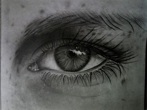 Como Dibujar Un Ojo Realista A Lapiz Paso A Paso How To Draw A Realistic Eye Arte Amino