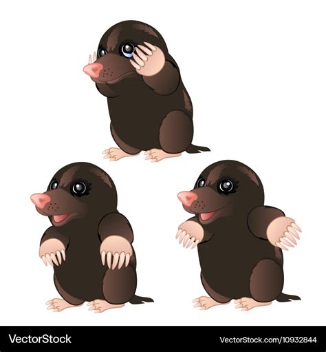 Mole Animal Character With Different Emotions Vector Image