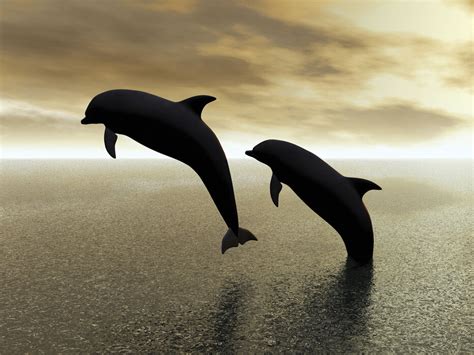 Dolphin Silhouettes Póster Elegante Photowall