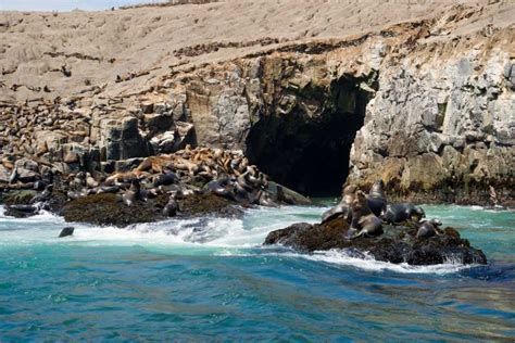 San Lorenzo Island Peru Die Besten Sehenswürdigkeiten Und Aktivitäten