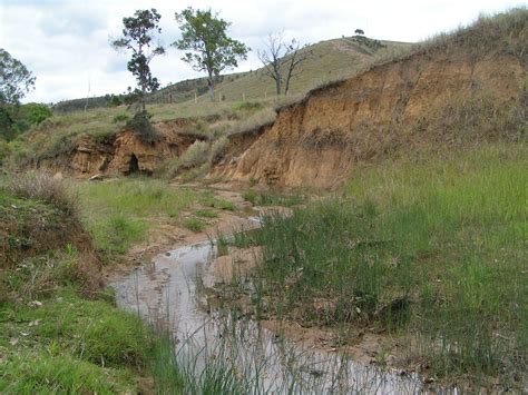 Stream And River Restoration Gully Erosion