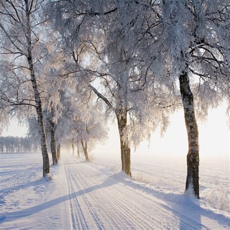 Serene Snow Songs For A Dreary Winter Day Huffpost Life