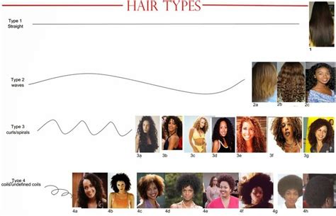 Desire My Natural Hair Tests Vol 12 What Is My Hair Type