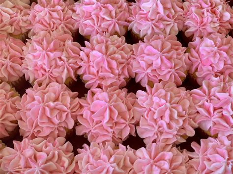 Pink Hydrangea Cupcakes | Hydrangea cupcakes, Hydrangea cake, Pink hydrangea
