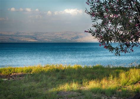 Mar De Galilea CaracterÍsticas GeografÍa