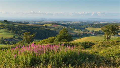 A £26m Boost For The Quantocks South West Heritage Trust