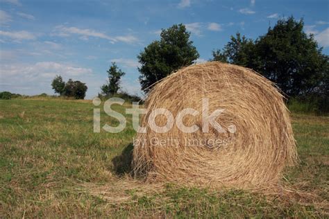 Hay Bale Scenery Stock Photo Royalty Free Freeimages