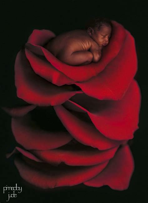 Anne Geddes Babies~ Anne Geddes Anne Geddes