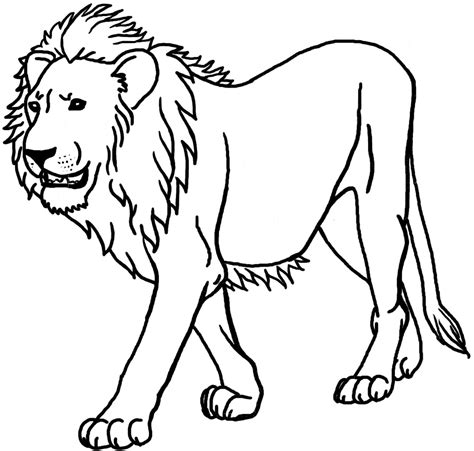 12 printable lion coloring pages - Print Color Craft